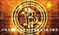 小狐钱包充钱怎么充？详细教程与技巧解析