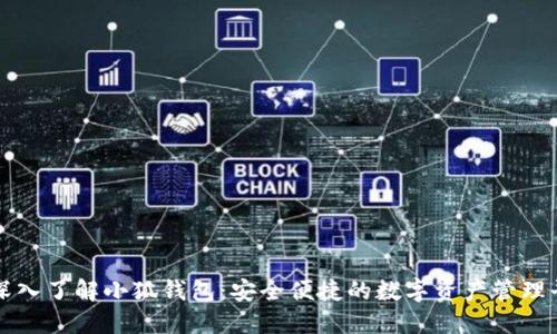 : 深入了解小狐钱包：安全便捷的数字资产管理平台