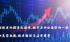 在区块链技术的探索之旅中，揭开其神秘面纱的