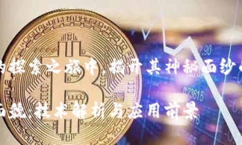 在区块链技术的探索之旅中，揭开其神秘面纱的一些重要方面

区块链的真实面貌：技术解析与应用前景