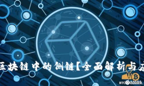 什么是区块链中的侧链？全面解析与应用场景