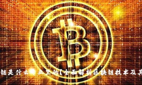 区块链是什么专业里的？全面解析区块链技术及其应用