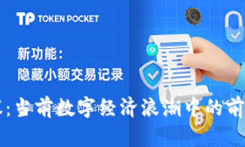 区块链热议：当前数字经济浪潮中的前沿科技解析