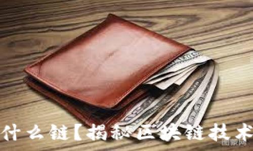   
区块链之前是什么链？揭秘区块链技术的前身与演变