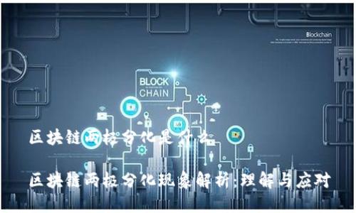 区块链两极分化是什么

区块链两极分化现象解析：理解与应对