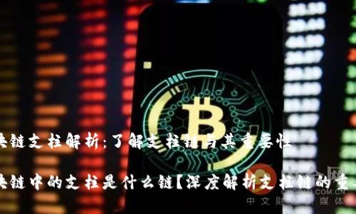 区块链支柱解析：了解支柱链与其重要性

区块链中的支柱是什么链？深度解析支柱链的重要性