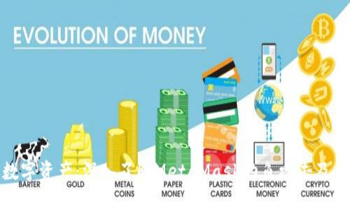 保护你的数字资产：深入了解MetaMask钓鱼攻击及其防范措施