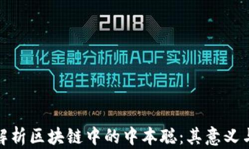 
深入解析区块链中的中本聪：其意义与影响